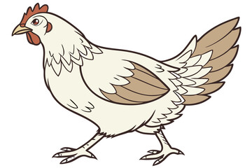 Fototapeta premium Farm Fresh Chicken Vector Art