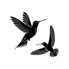 hummingbird silhouette logo vector line art logo design