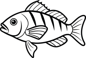 Wrasse Fish Line Art Design With White Background