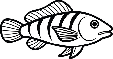 Wrasse Fish Line Art Design With White Background