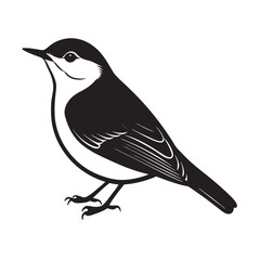 Nuthatch Bird Minimal Drawing