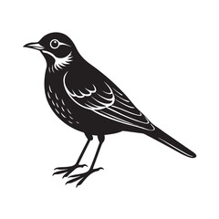 Lark Bird Vector Illustration