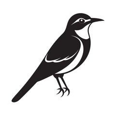 Bee Eater Bird Outline Illustration