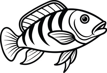 Wrasse Fish Line Art Design With White Background