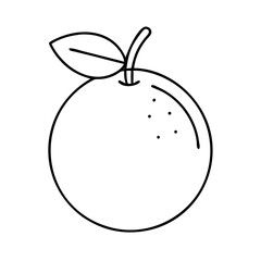 orange icon, orange line art - simple line art of orange, perfect for orange logos and icons