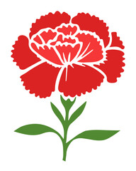 Red carnation illustration isolated in white background.