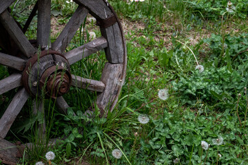 Fragment of a wooden wheel. A wooden wheel from an ancient cart lies on boards. View of a fragment of ancient technology for making a wheel from natural materials.