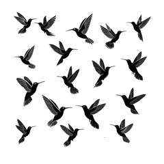 hummingbird silhouette logo vector line art logo design