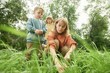 Low angle shot of mother with two boys looking for bugs and insects in long green grass, exploring...