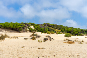 Dune of Bolonia on Atlantic ocean coast in Tarifa, Andalusia, Spain