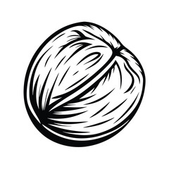 Black and White Walnut Outline, Hand Drawn Style, Nut Isolated, Sketchy Design