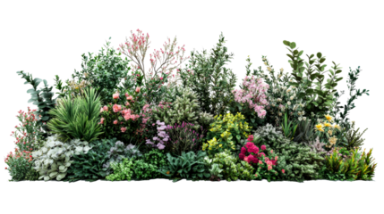 Lush flowerbed with diverse plants and blossoms, cut out transparent