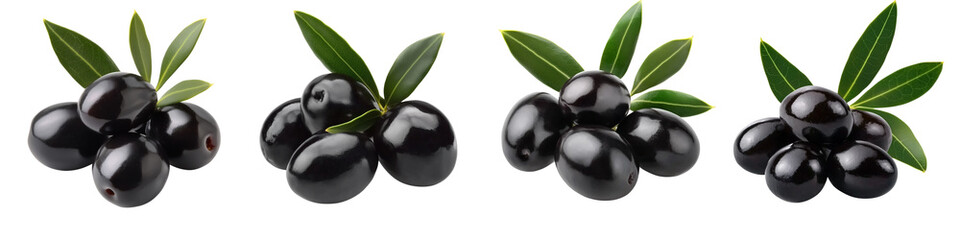 set of The black beauty of olives, the origin of black olives, the journey of black fruit, the dark color of olives, black olives, black fruit, on a transparent backgrounds