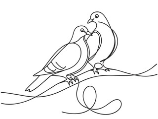 Lovely Dove Birds Couple