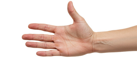 Isolated Open Hand