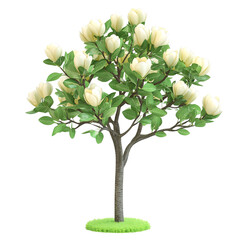 White Magnolia Tree with Green Leaves Isolated on Transparent Background