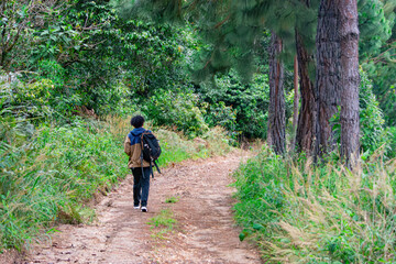 Obraz premium A Solo Traveler Exploring a Lush Trail in Cauca, Colombia's Beautiful Nature