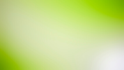 light green blurred background gradient color