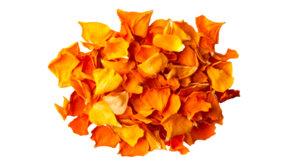 Pile of vibrant orange flower petals isolated on black background, cut out transparent