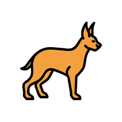 Illustration of a dog breed doberman pinscher with orange and black color on transparent background