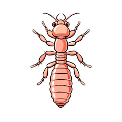 Illustration of a termite insect pest control vector drawing for design use on transparent background