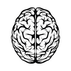 Monochrome Brain Illustration, Detailed Neural Network Anatomy, Symmetrical, Isolated