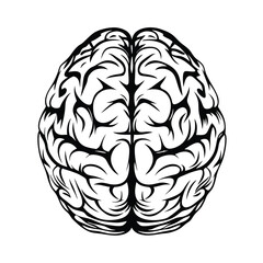 Stylized Human Brain Silhouette, Top View Anatomical Black and White
