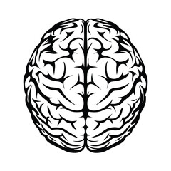 Brain Anatomy Silhouette, Medical Neurology Central Organ Intelligence Science Structure
