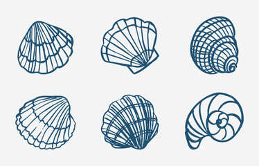 set of doodle sea shells, vector illustration