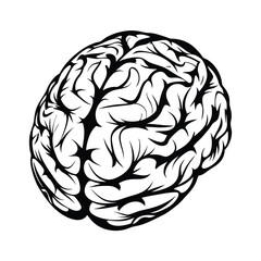 Stylized Human Brain Outline Isolated on White. Monochrome Design. Anatomical Art