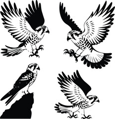 Kestrel Silhouette Set for Bird of Prey and Wildlife Designs Flying Kestrel Falcon Silhouettes for Nature and Hunting Projects