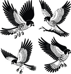 Kestrel Silhouette Set for Bird of Prey and Wildlife Designs Flying Kestrel Falcon Silhouettes for Nature and Hunting Projects