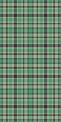 Tracery background check vector, layered pattern plaid tartan. Indian fabric texture seamless textile in pastel and green colors.