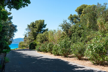 Camping on the Cote d'Azur with view on sea