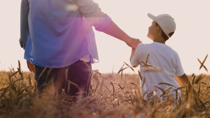 Happy boy kid with father holding hands walking at sunlight dry wheat field back view closeup. Family male parent and child son relaxing enjoy freedom discovery outdoor leisure activity together