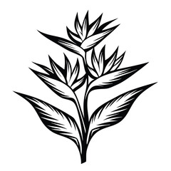 Black and White Bird of Paradise Flower Blossom Silhouette Stem & Leaves Tropical Decor