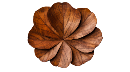 Floral design with wooden leaves, arrangement concept, cut out transparent