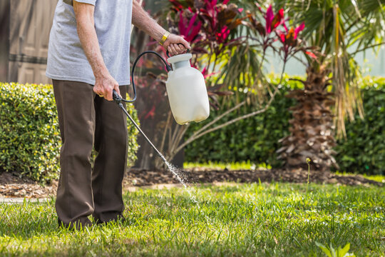 Man spraying weed killer herbicide on green grass residential yard. Landscaper using pump chemical pesticide sprayer for lawn weed control.