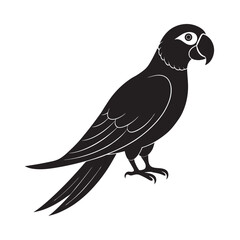 Fototapeta premium Hyacinth Macaw Bird Illustration