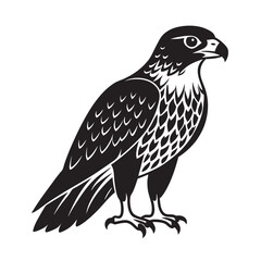 Black and White Hawk Eagle Illustration