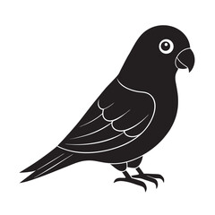 Amazonian Parrotlet Bird Vector Art