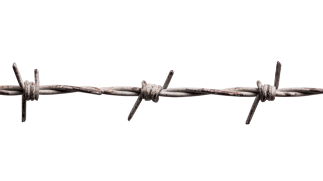 Barbwire fence line on black, detailed security design, cut out transparent