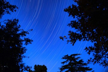 startrail del cielo blu stellato, di notte, in estate, tra gli alberi