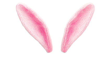 Fluffy pink easter bunny ears with realistic detail, cut out transparent