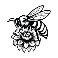 Detailed Black and White Honeybee, Flying Above Blossom Flower, Simple Line Art