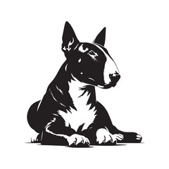 Bull Terrier Dog Vector Silhouette Design, Strong Canine Outline Art, Pet Lover Graphic, Muscular Breed Clipart for Logos, Apparel, Stickers, Posters, and Digital Prints.