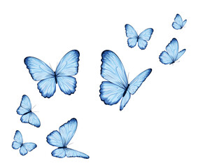 watercolor butterfly flock of butterfly 