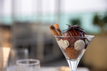 Single Scoop Chocolate Sundae