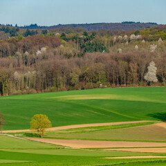 Obraz premium Agrarlandschaft im Frühjahr