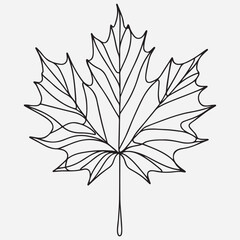 Maple leaf line art One continuous line drawing abstract tropic spring isolated vector